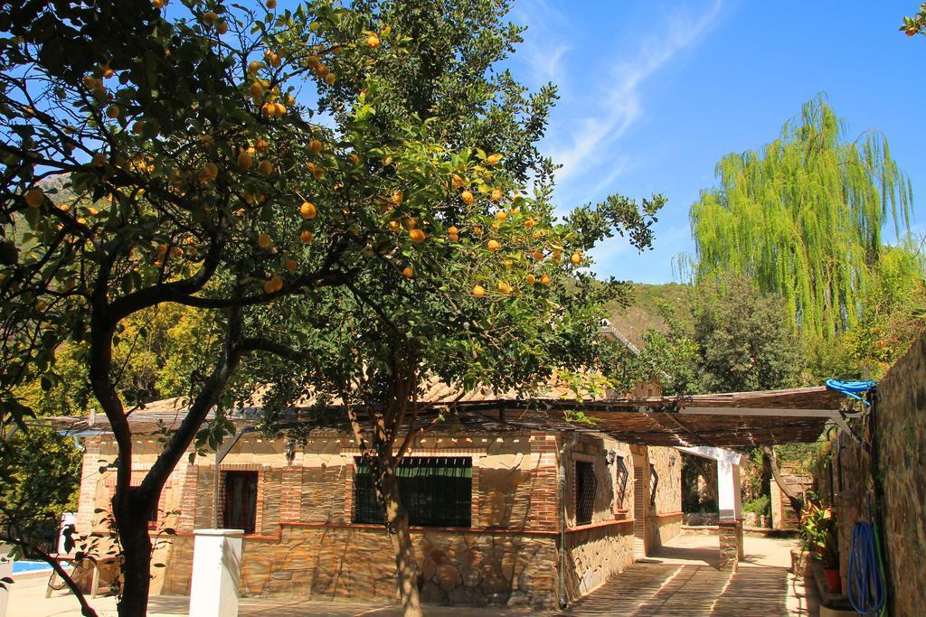 Pensjonat La Fuente De El Nacimiento Benamahoma Zewnętrze zdjęcie