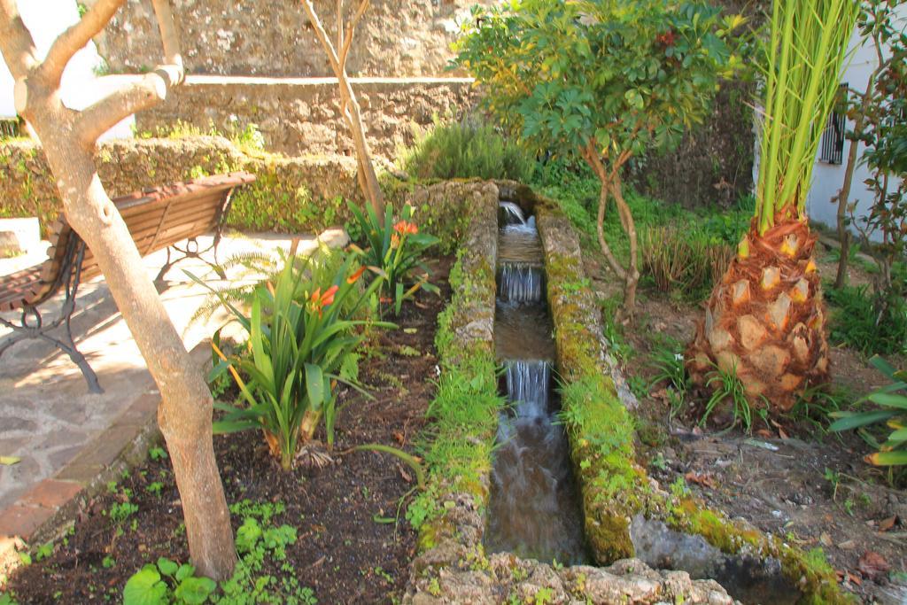 Pensjonat La Fuente De El Nacimiento Benamahoma Zewnętrze zdjęcie